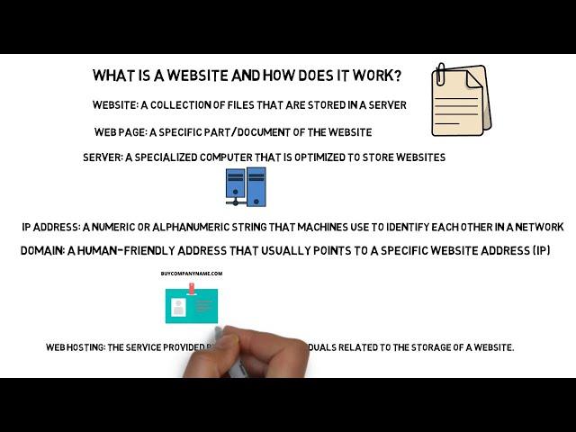 What Is A Website And How Does It Work ? (For Beginners)