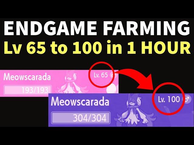 The BEST ENDGAME EXP Farming - Get to Level 100 in 1 Hour [Pokemon Scarlet Violet]