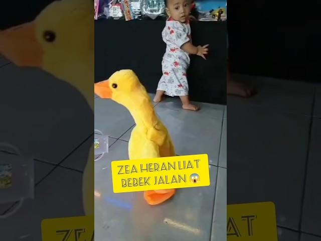 Zea heran liat bebek bebekan bisa jalan, gemeshh banget ‼️#shorts #viral