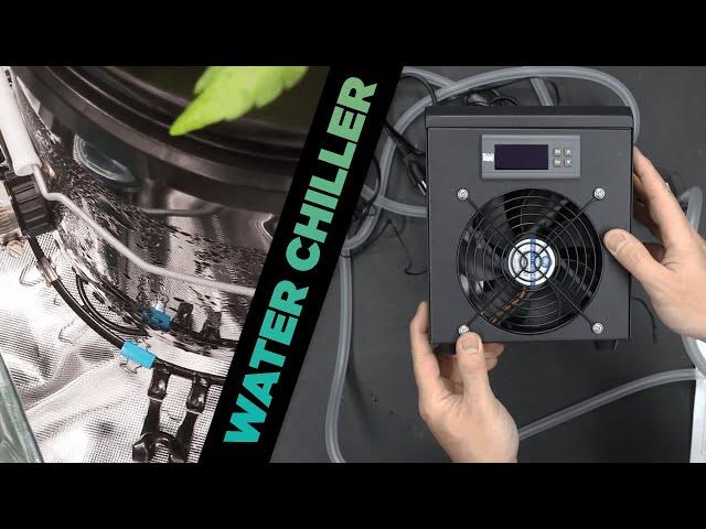 Cheapest Water Chiller for Small Hydro RDWC DWC