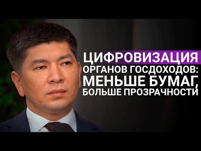 Что ждёт систему органов госдоходов Казахстана?