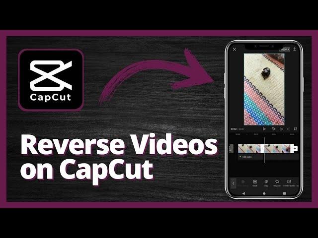 How to Reverse Videos on CapCut in 2023 | Reverse Video in CapCut Easily