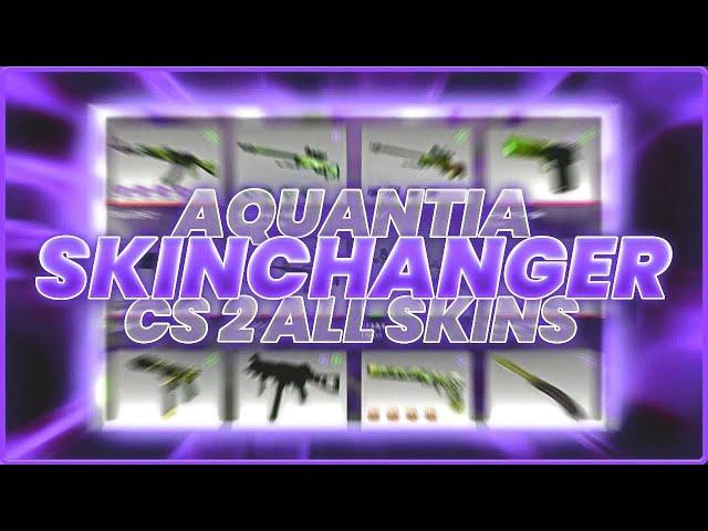 CS2 Best Skinchanger  Skin Changer ALL SKINS // Link In Desc