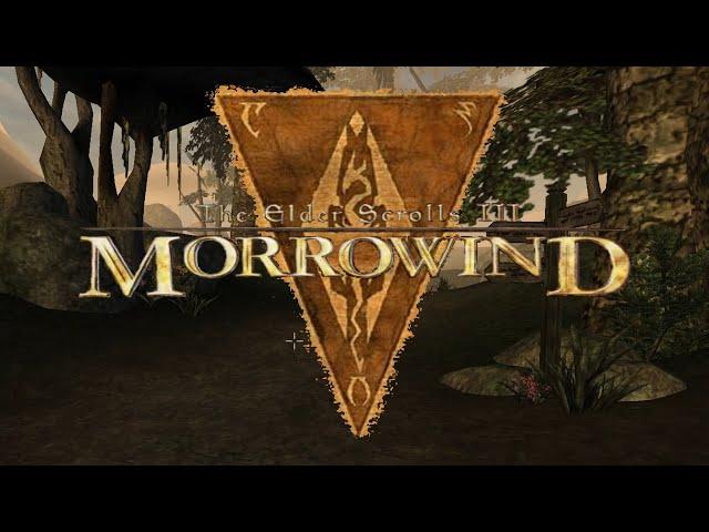 Die Magiergilde #02 / TES 3 - Morrowind (schwer)