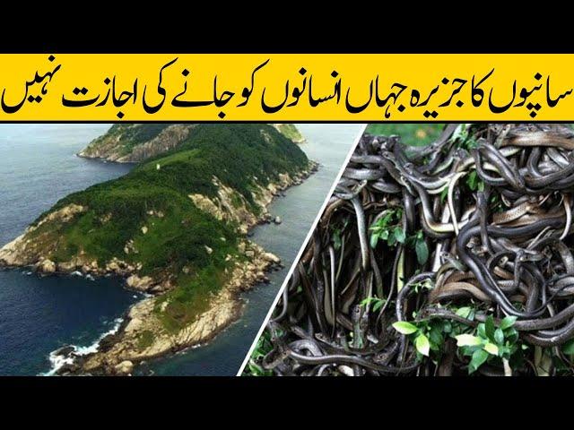 Sampo Ka Jazeera | Snake Island Brazil | Urdu/Hindi