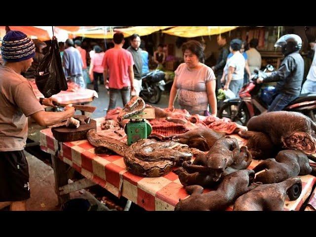 Berani Masuk Dalam Pasar ini, Berarti Nyali-Mu Besar!! Ternyata isi Dalamnya.. Astaga!!