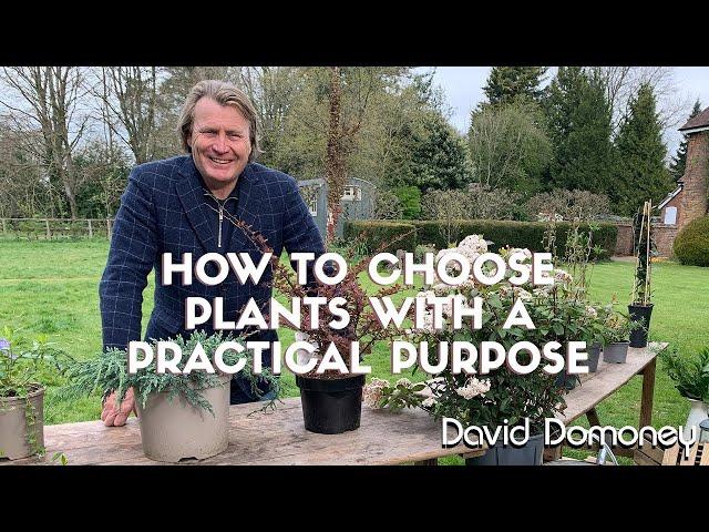 Practical plants and How to choose them