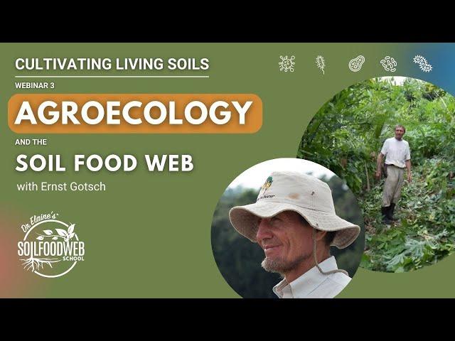 Symbiotic Impact of Agroecology and the Soil Food Web