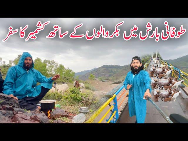 Facing Heavy Thunderstorms While Travelling With Nomads Bakarwal | Life of Kashmiri Bakarwal