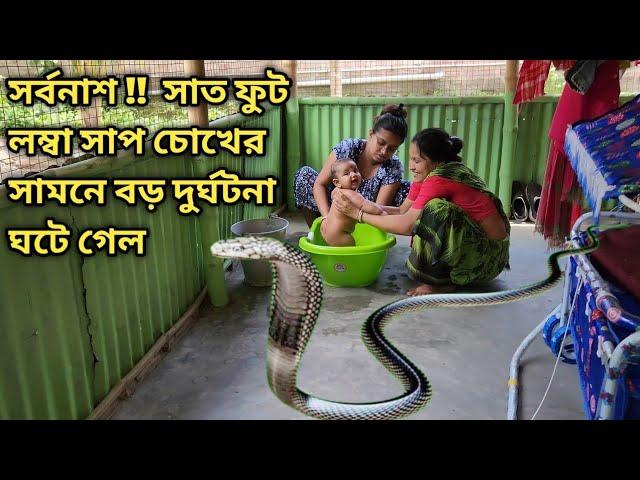 সর্বনাশ!!  সাত ফুট লম্বা সাপ চোখের সামনে ,বড় দুর্ঘটনা ঘটে গেল |@Akash Papri #Daily vlog