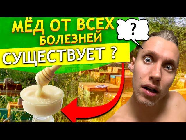 Самый ПОЛЕЗНЫЙ мед существует ? Как ПРАВИЛЬНО выбрать мед ? Что влияет на качество хорошего меда ?