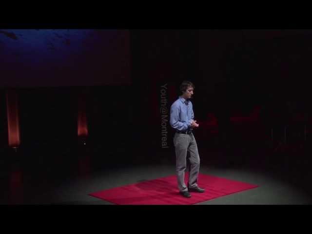 Becoming The Voice Of Shark Conservation: Jeff Litton at TEDxYouth@Montreal