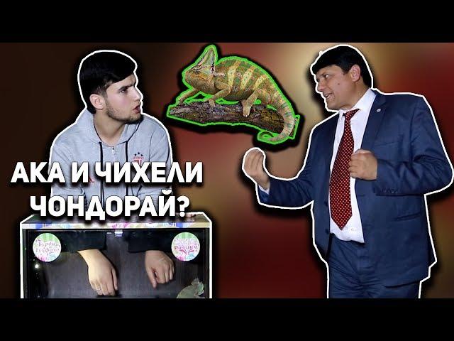 Фавик дар барномаи МАЙДОНИ ХУНАР / Ай барнома кахр кад!