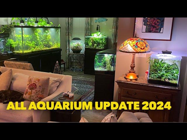 All Aquarium Update Dec 2024