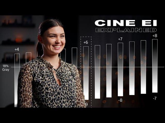 CINE EI explained EASY