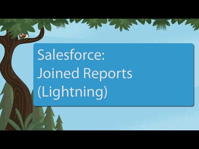 Salesforce: Joined Reports (Lightning)