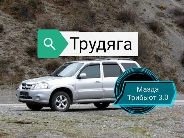 Обзор Мазда Трибьют. Машина трудяга. Плюсы и минусы авто.