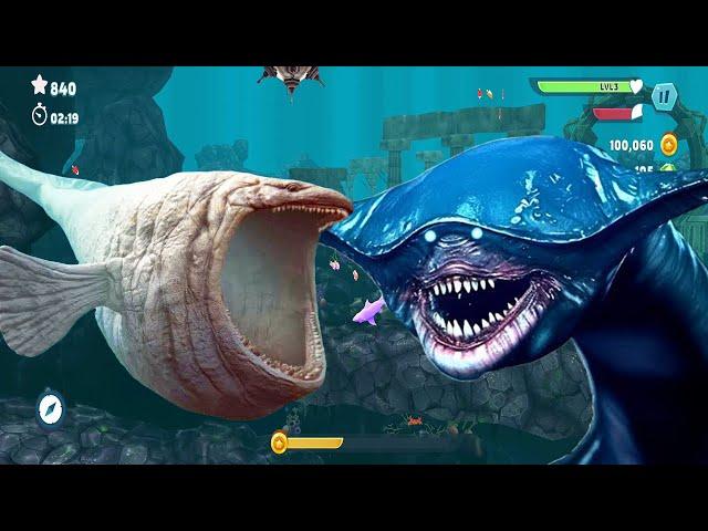 Hungry Shark Evolution Colosos - The Bloop vs El Gran Majá - La Batalla All Sharks Unlocked Gameplay