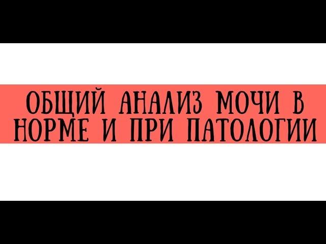 Общий анализ мочи в норме и при патологии - meduniver.com