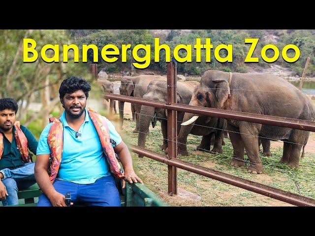 ஓசூர்-க்கு பக்கத்தில் Bannerghatta Zoo I Bangalore Bannerghatta National Park I Best Jungle Safari