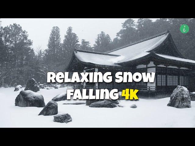 Snow Falling | Relaxing Snow Falling 4k | Snow Falling Relaxing Music | Info Hifi