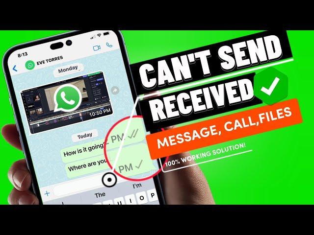 Fix WhatsApp Messages Not Sending/Receiving issues on iPhone Running iOS 16