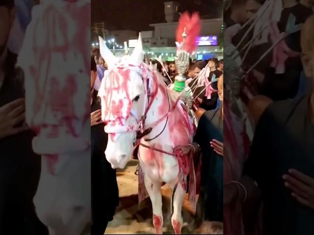 Karbala Ho Ghi Tyar Nadeem sarwar Noha status 7 Muharram 2024 1446ھ Zuljanah videos