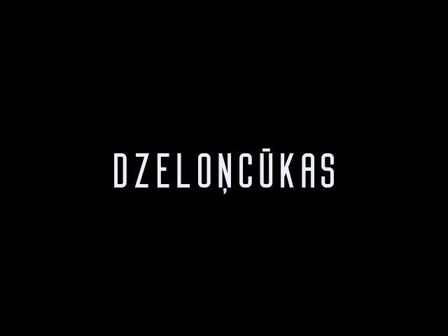 ''Dzeloņcūkas" TEAM