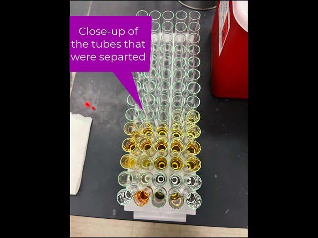 Separation of mixtures using column chromatography: CombiFLASH NextGen 3000