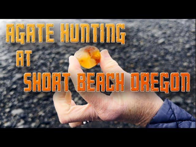 American Dream ep 35—Agate Hunting at Short Beach, Oregon