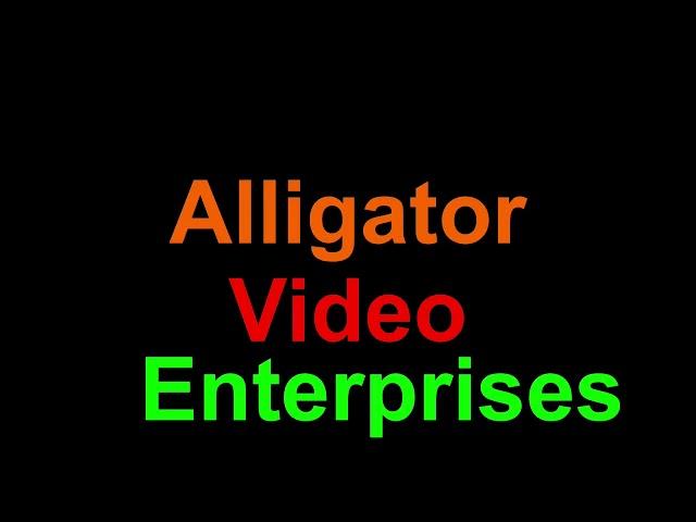 Alligator Video Enterprises logo 2022