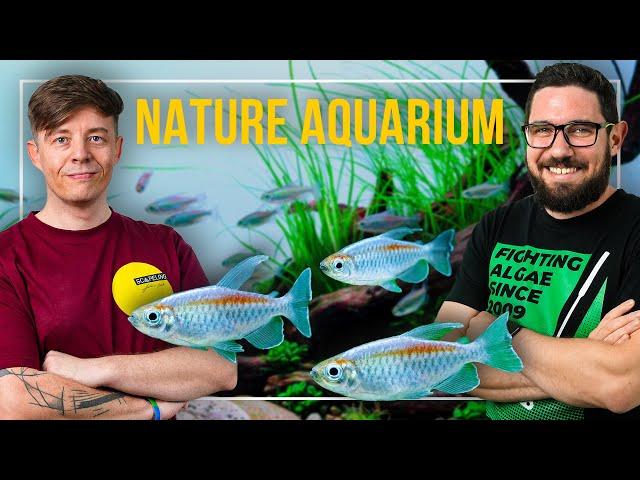 LESS IS MORE?! | Building a MINIMALIST NATURE Aquarium with Fabian Beck(@scapeling-loveaquascaping )