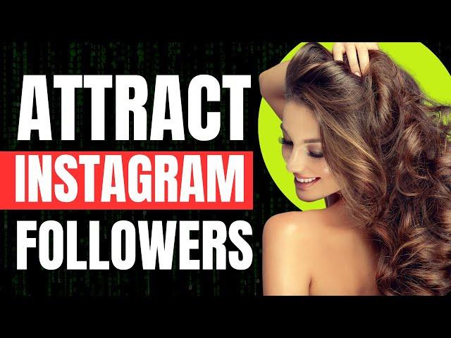 How to Increase Instagram Followers for Your Shopify Store