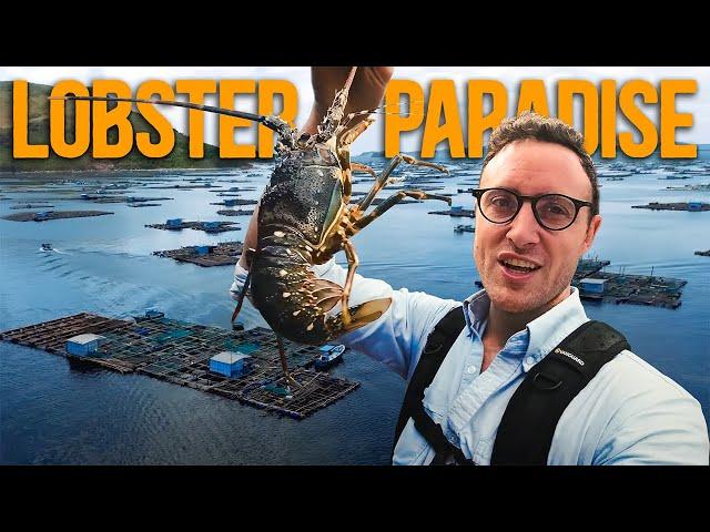 Vietnam's Lobster kingdom! 5000 Floating Lobster Farms - How Do They Even Work?