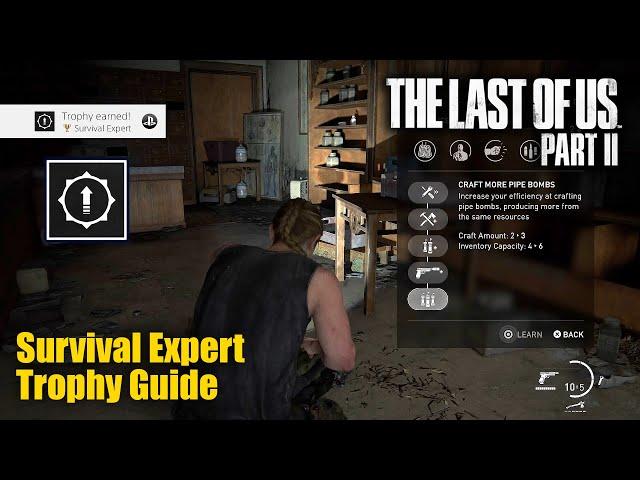 The Last Of Us Part II - Survival Expert Trophy Guide (Learn all player upgrades of Ellie and Abby)