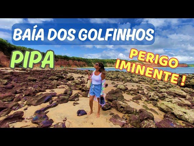 BAÍA DOS GOLFINHOS - PIPA - RN - Perigo Iminente!