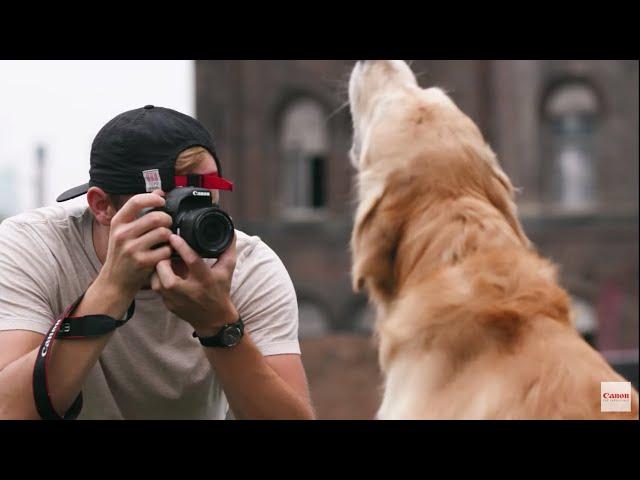 Canon EOS Rebel T7i: How to Take the Perfect Pup Pic