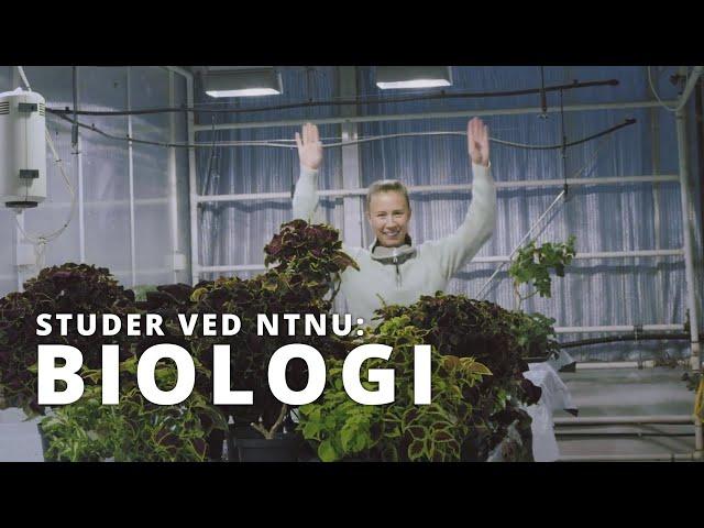 Study biology | NTNU