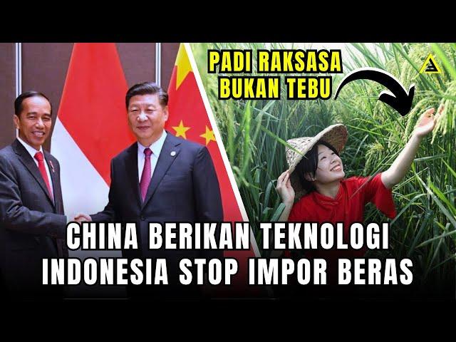 Mantab!! PROYEK BARU INDONESIA CHINA di Dekat IKN