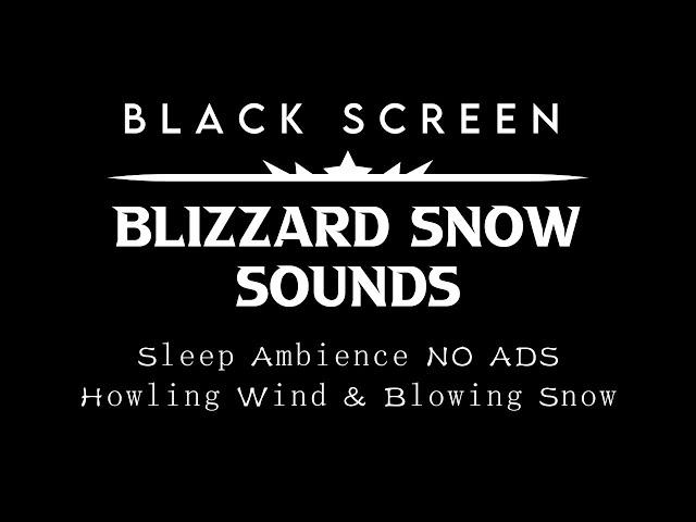 [Black Screen Snowstorm] Blizzard Sounds For Sleeping - Sleep Ambience NO ADS ┇ Wind Storm