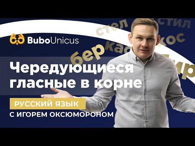 Чередующиеся гласные в корне | | ЕГЭ русский язык | Игорь Оксюморон