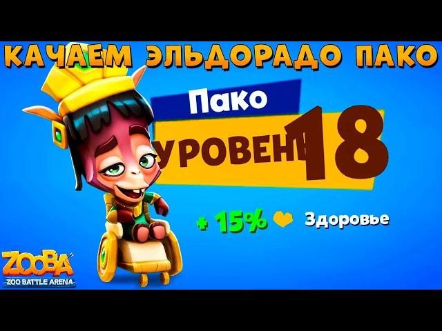 КАЧАЕМ ЭЛЬДОРАДО ПАКО НА 18 УРОВЕНЬ В ИГРЕ ZOOBA