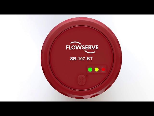 Flowserve IPS Wireless Technology