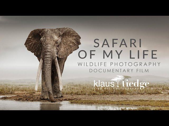 Safari of my Life - Wildlife Photography Documentary with Klaus Tiedge