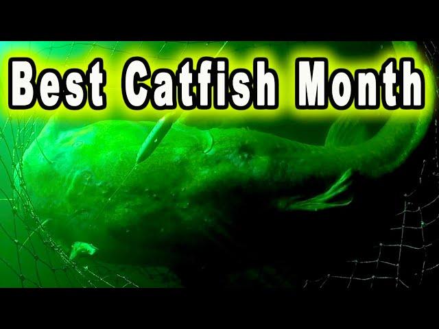 The FOUR Best Months for Catching Catfish