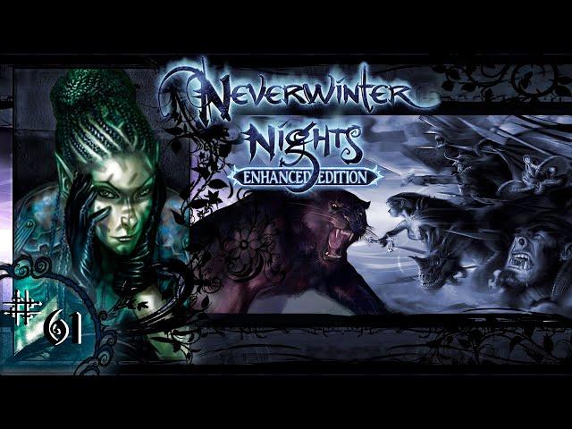 TOMI, LINU Y DAELAN | Neverwinter Nights [EP2] | #61