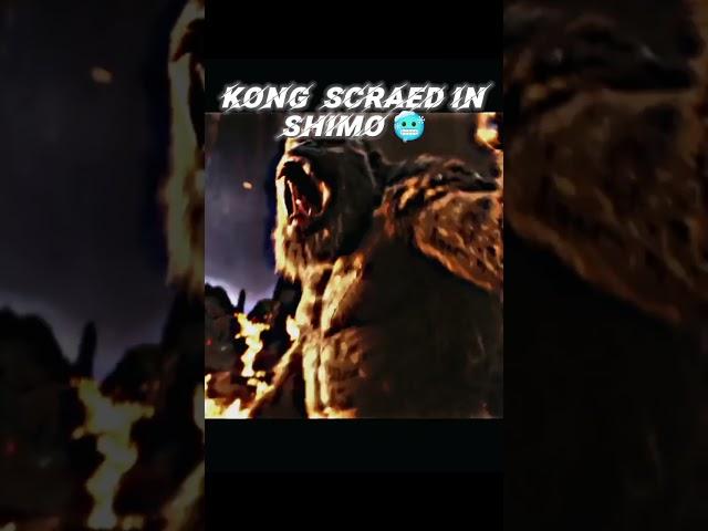 godzilla x kong #kong #shimo #godzilla x kong new empire