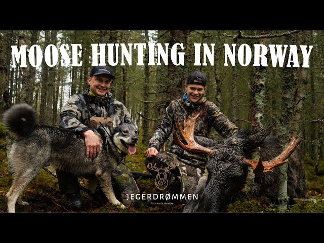 Moose Hunting In Norwegian Mountains