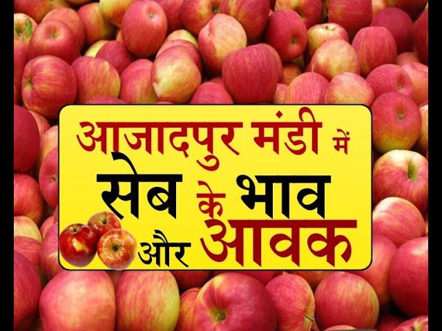 #azaadpur mandi #apple आजादपुर मंडी में सेब के भाव और आवक Market Times TV | Commodity Market Updates