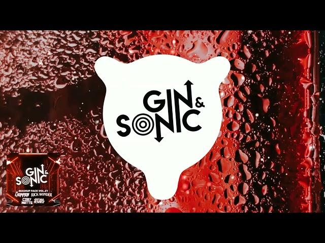 Gin and Sonic Mashup Pack Vol.  21 feat. Chumpion, SEEING DOUBLE, Coby Watts, Rick Wonder